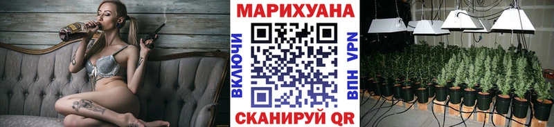 Шишки марихуана сатива  mega зеркало  Руза 